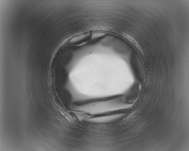 X0000071951027200608041548