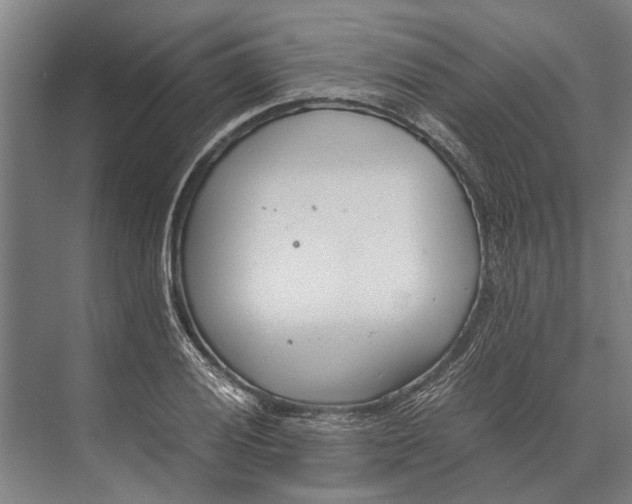 X0000071951028200608041548