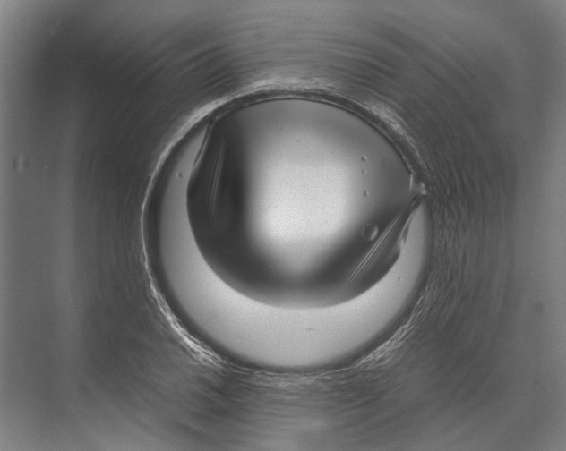 X0000071951030200608041548