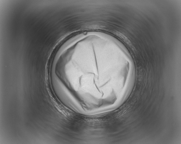 X0000071951031200608041548