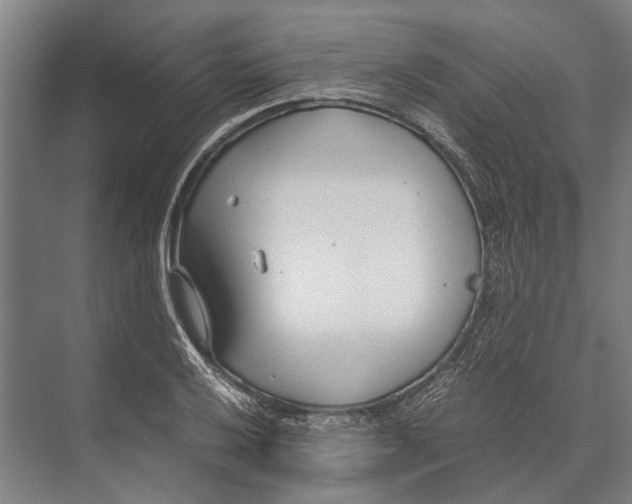 X0000071951032200608041548