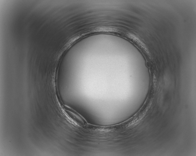 X0000071951033200608041548