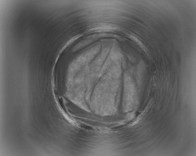 X0000071951034200608041548