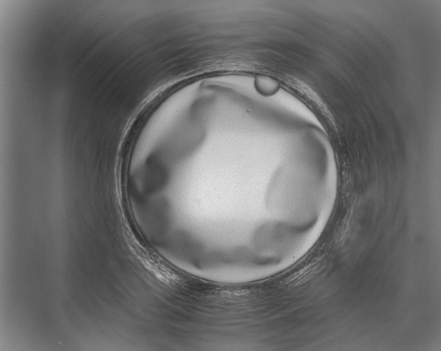 X0000071951035200608041548