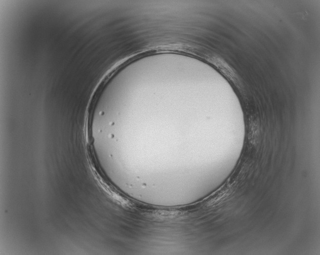 X0000071951036200608041548