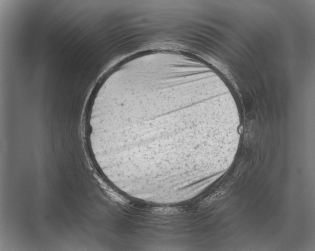 X0000071951037200608041548