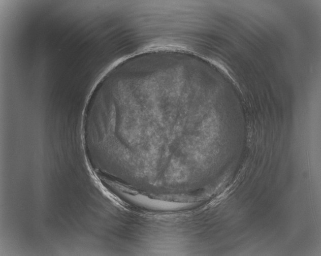 X0000071951038200608041548