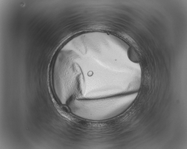 X0000071951039200608041548