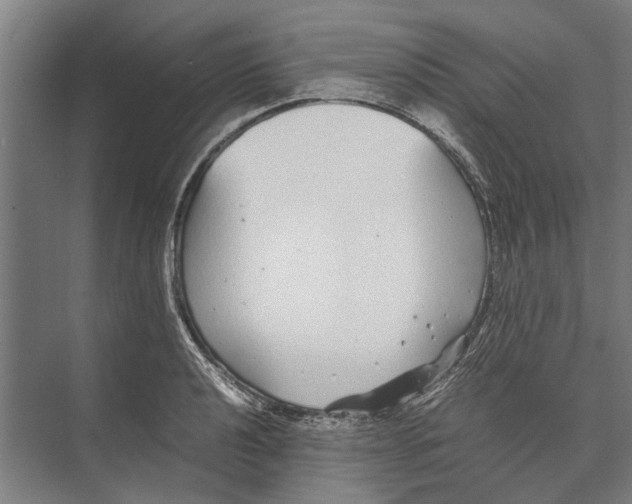 X0000071951040200608041548