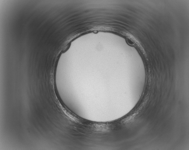 X0000071951041200608041548