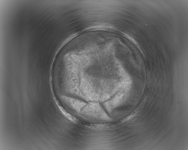 X0000071951042200608041548