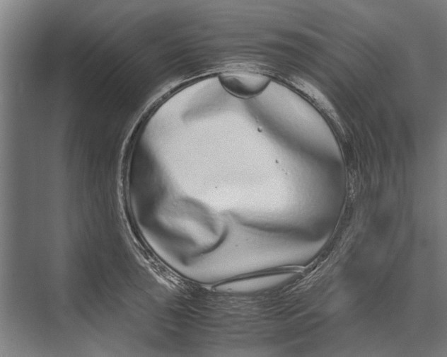 X0000071951043200608041548