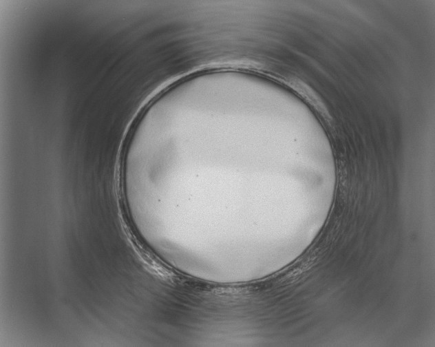 X0000071951044200608041548