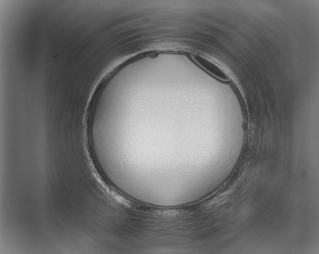 X0000071951045200608041548