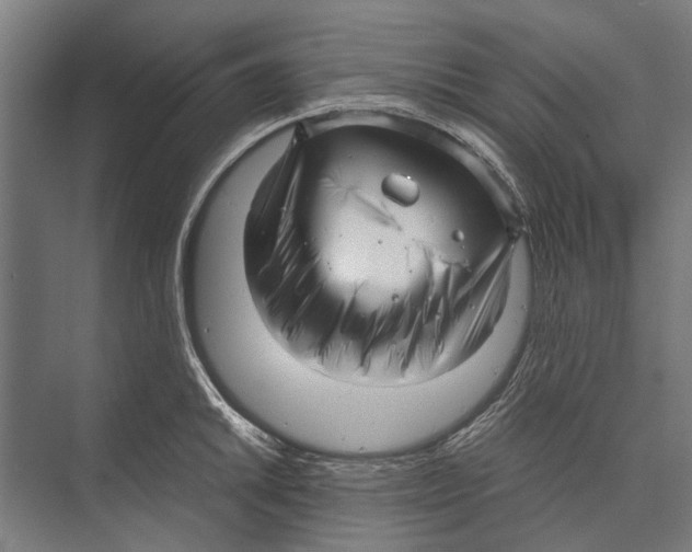 X0000071951046200608041548