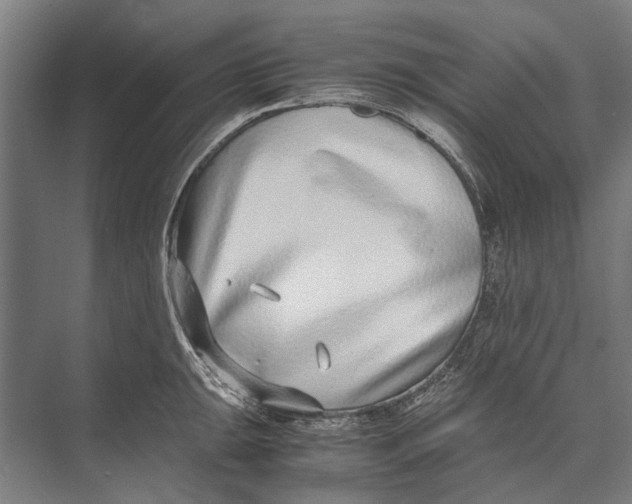 X0000071951047200608041548