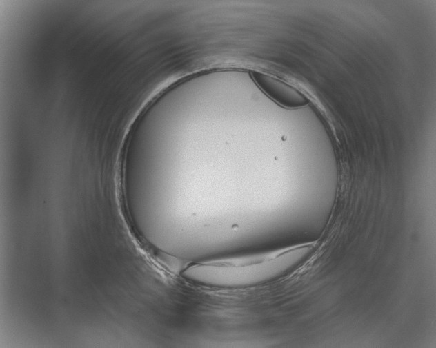 X0000071951048200608041548