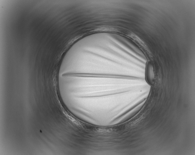 X0000071951049200608041548