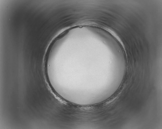 X0000071951053200608041548