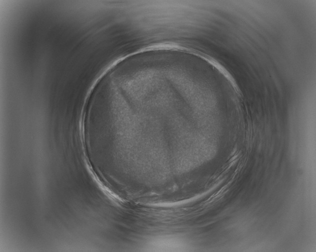 X0000071951054200608041548