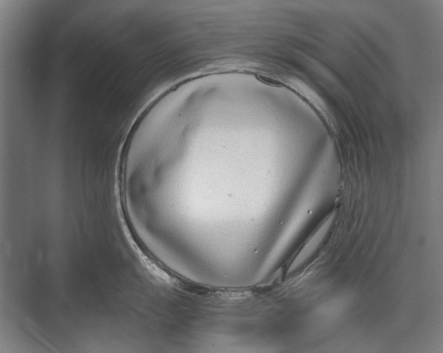 X0000071951055200608041548