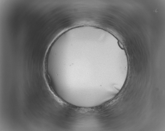 X0000071951056200608041548