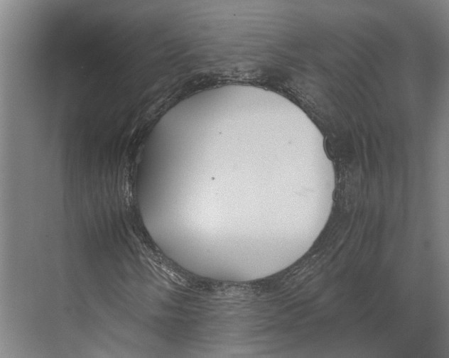 X0000071951058200608041547