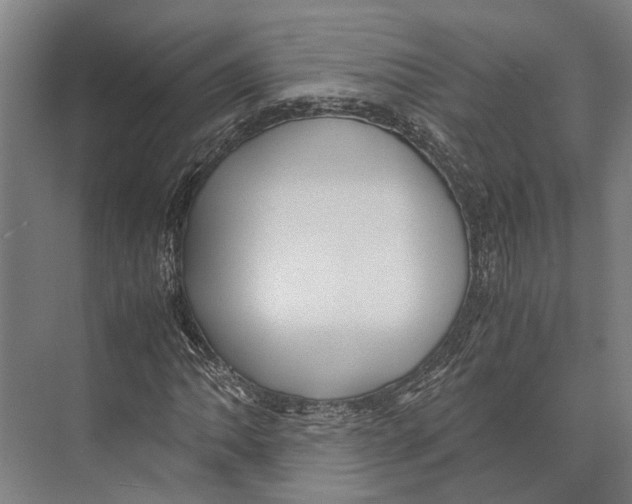 X0000071951062200608041547