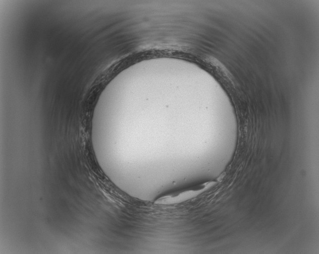 X0000071951064200608041547