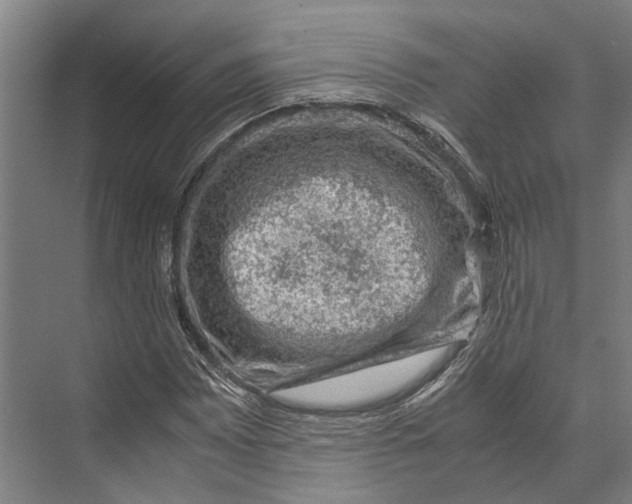 X0000071951065200608041547