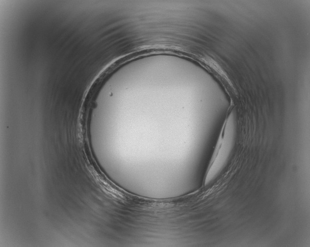 X0000071951068200608041547