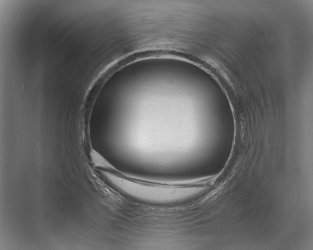 X0000071951069200608041547