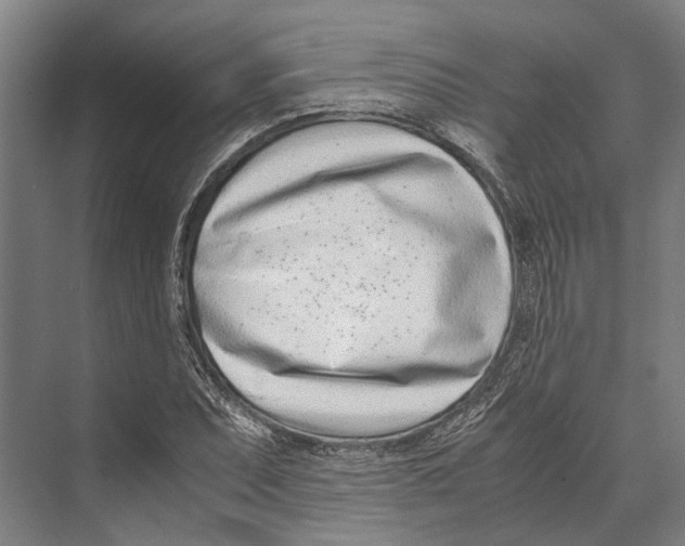 X0000071951071200608041547