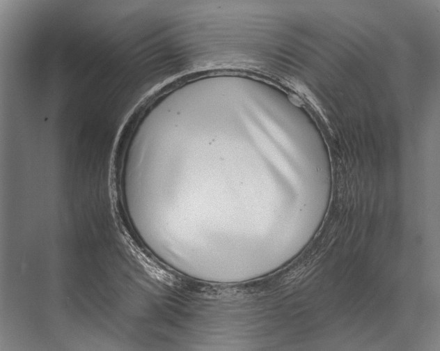 X0000071951072200608041547