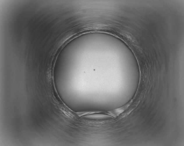 X0000071951073200608041547