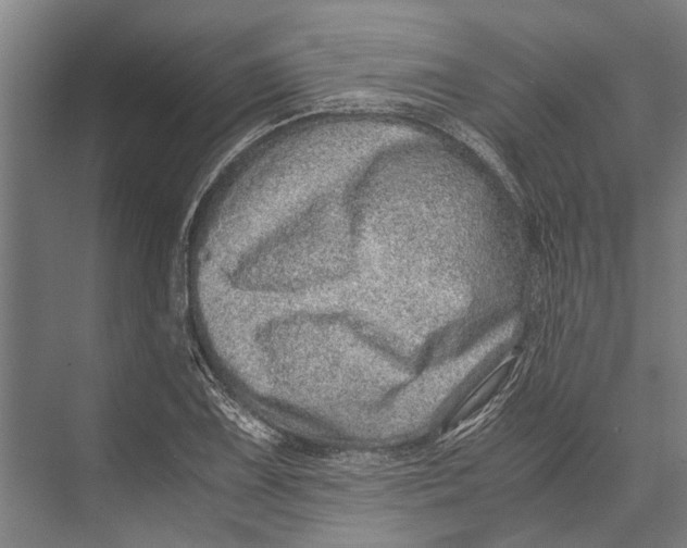 X0000071951075200608041547