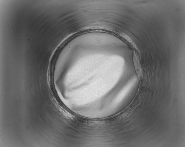 X0000071951076200608041547