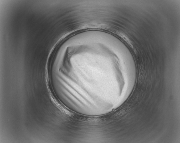 X0000071951080200608041547