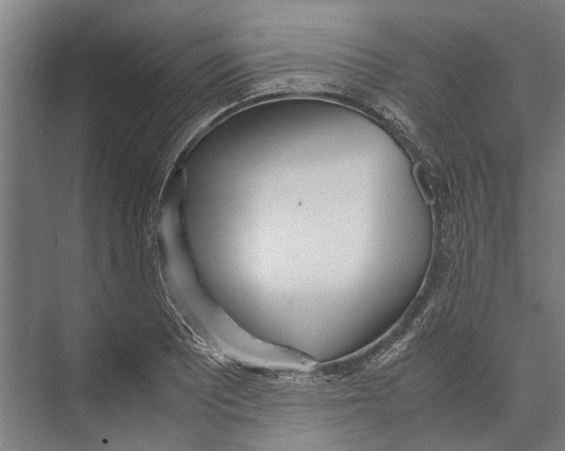 X0000071951081200608041547