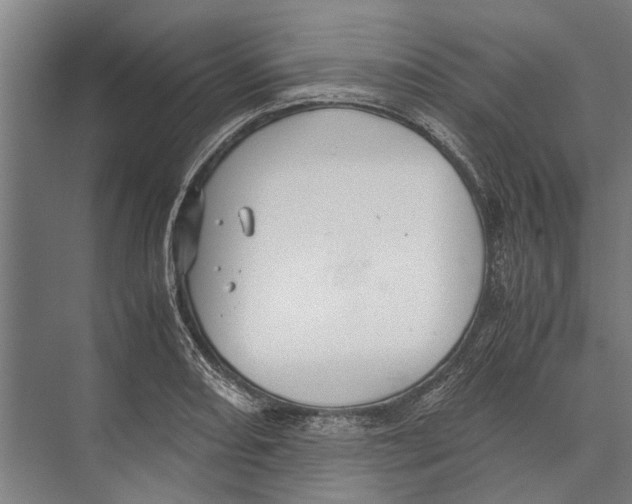 X0000071951082200608041547