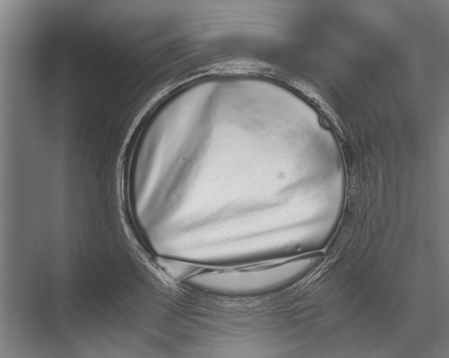 X0000071951083200608041547