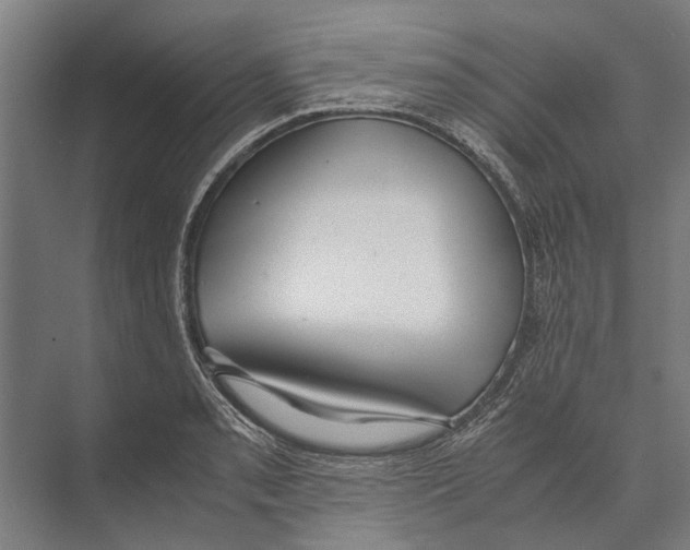 X0000071951085200608041547