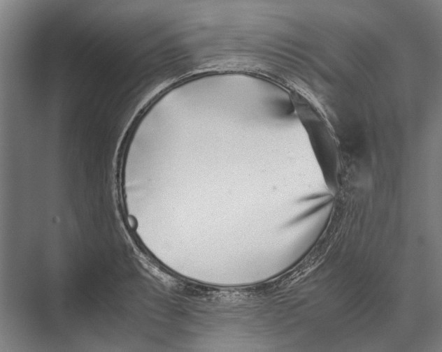 X0000071951087200608041547