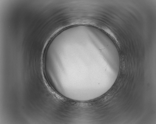 X0000071951088200608041547