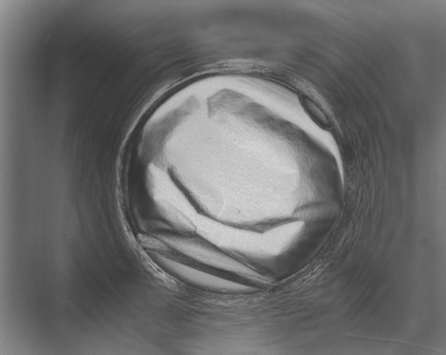 X0000071951091200608041547