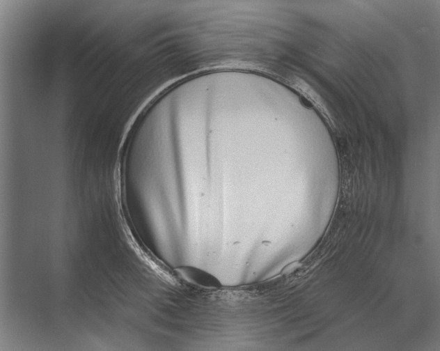 X0000071951092200608041547