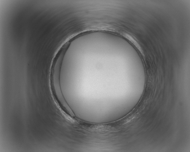 X0000071951093200608041547