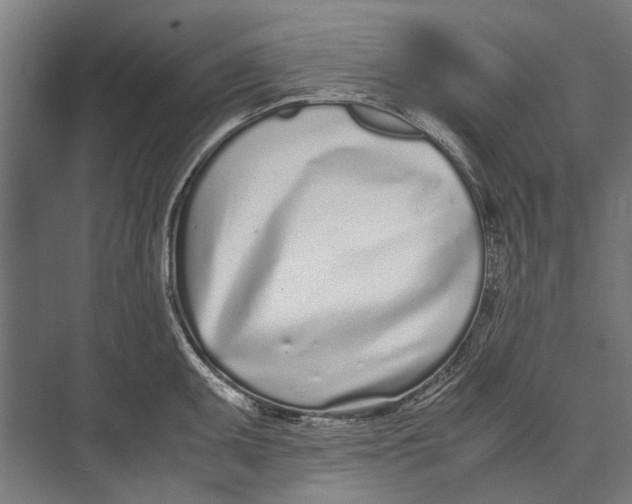 X0000071951095200608041547