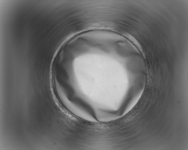 X0000071951096200608041547