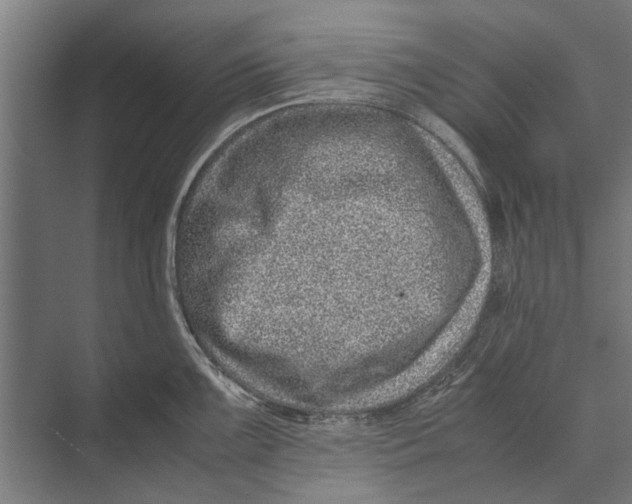 X0000071951099200608041547